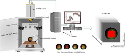 Non-destructive assessment of apple internal quality using rotational hyperspectral imaging